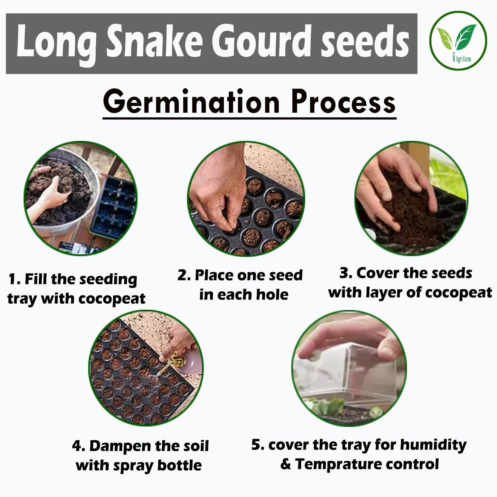 Snake Gourd Seeds - 250 gram (Approx. 450 Seeds) - for Farming & Home Gardening - Image 4