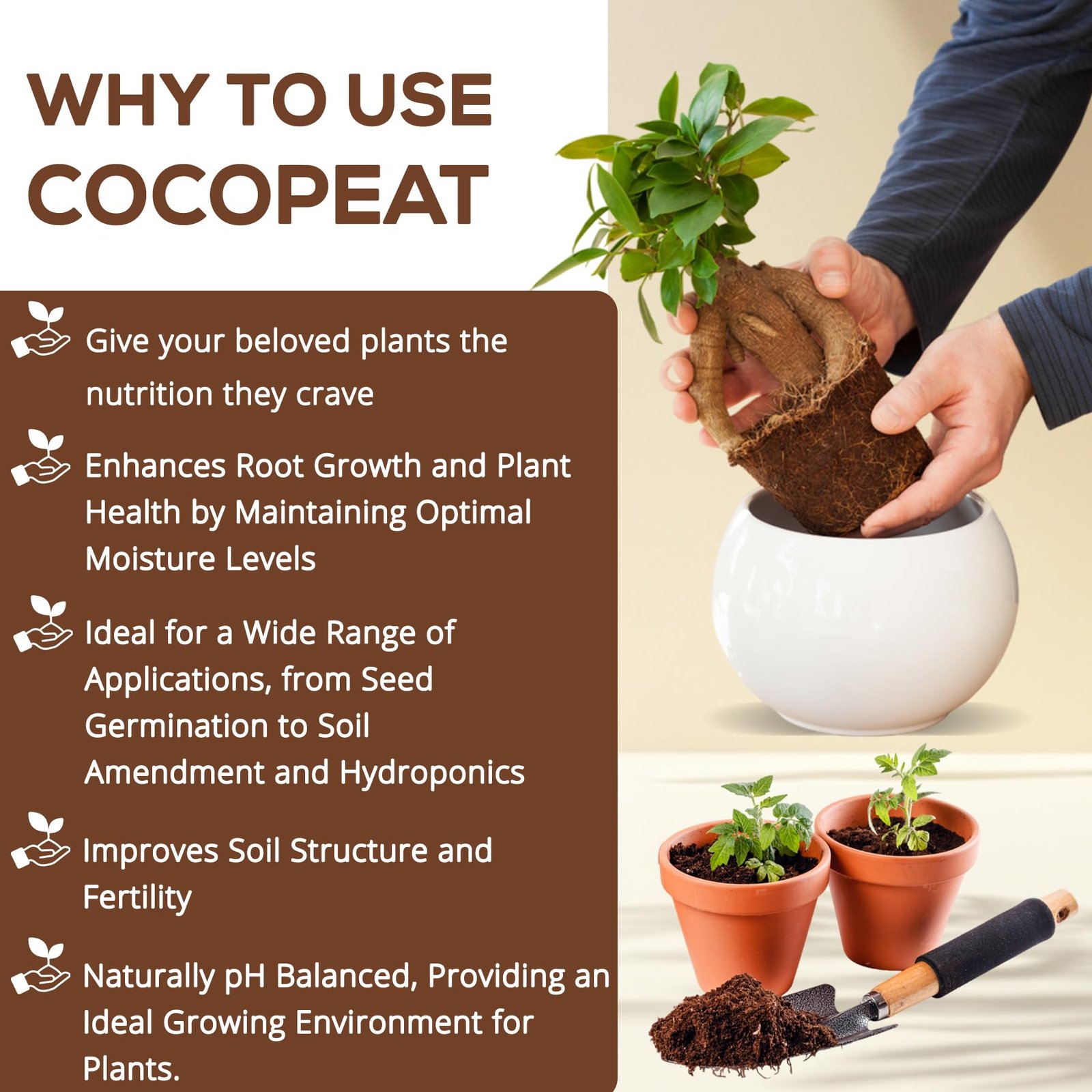 SJ Organics Cocopeat Powder Ready to Use 20 Kg – Bulk Pack Coconut Coir Soil Conditioner for Agriculture, Nursery, Commercial Gardening & Potting Mix, Organic - Image 4