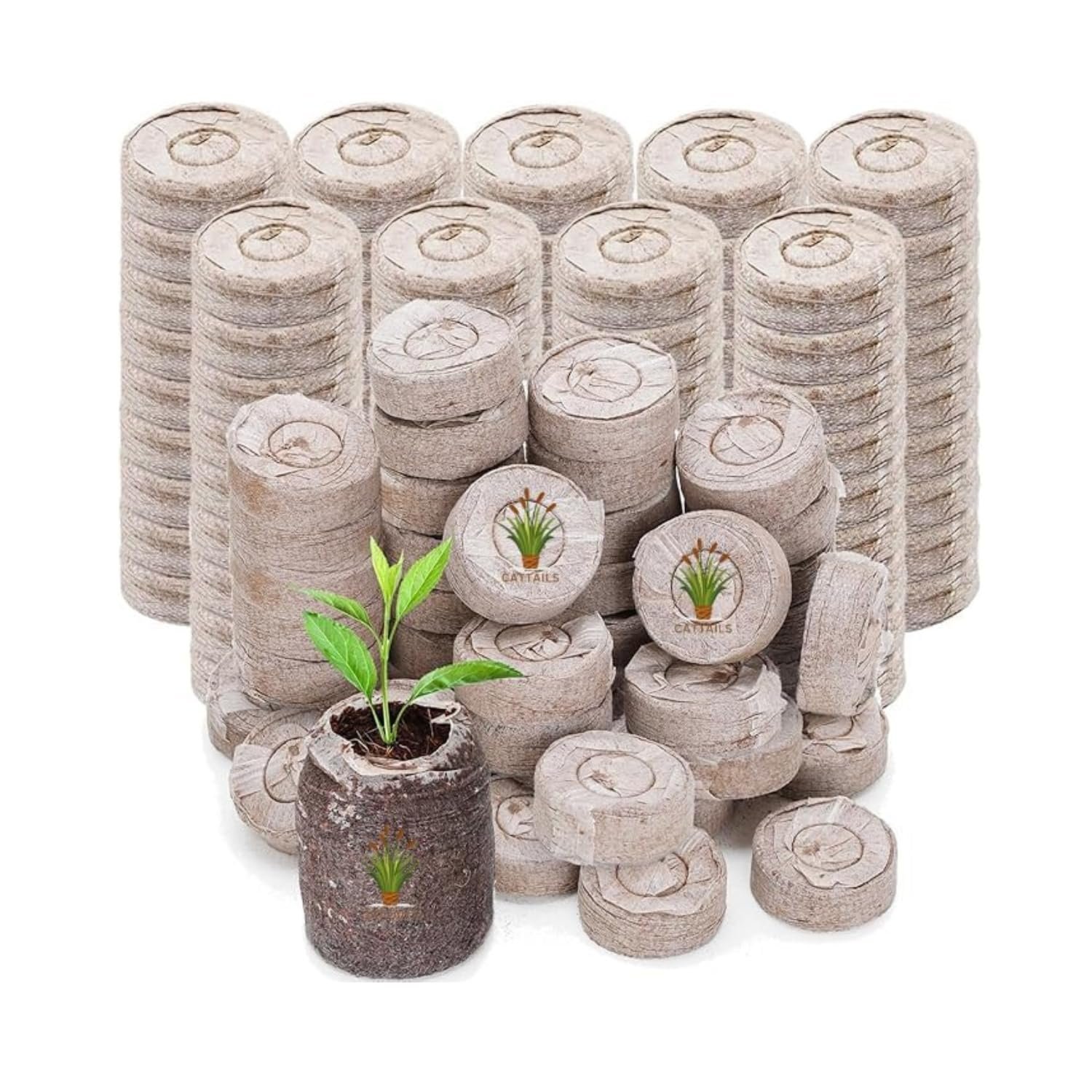 Coir Seed Germination Kit for Seed Starting | 100% Organic Coco Peat Pellets for Fast Root Growth | Eco-Friendly Seedling Pods for Plants, Herbs, Vegetables, Flowers | (Pack of 15).