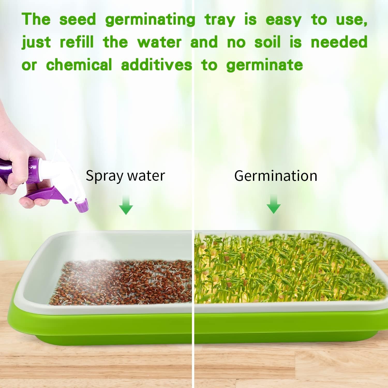 Seed Sprouter Tray Without Lid Microgreens Growing Trays Sprouts Growing Kit Propagation Trays Healthy Wheatgrass Grower Storage Sprouting Tray for Garden Home Office (2PCS) - Image 4