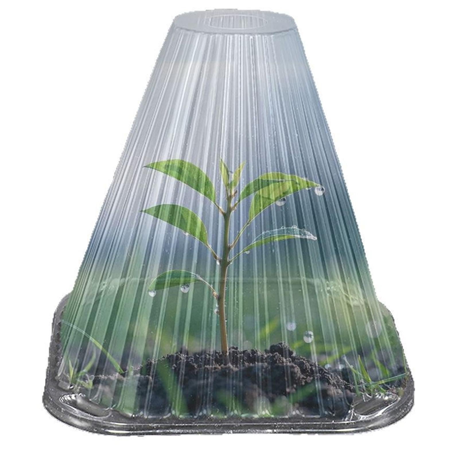 Garden Cloches for Plants Mini Greenhouse Outdoor Reusable Bell Plant Covers 15cmx15cmx4.5cm 10pcs - Image 8