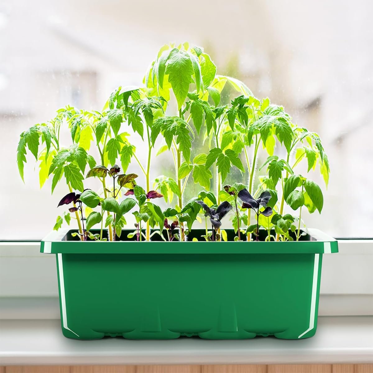 12-Cell Seedling Trays for Plants, Germination Kit, 5 Pcs - Image 8