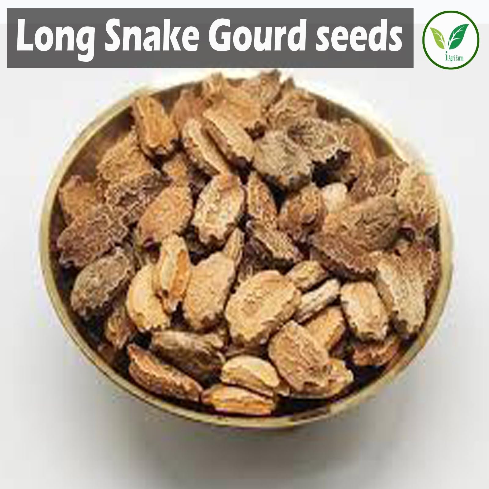 Snake Gourd Seeds - 250 gram (Approx. 450 Seeds) - for Farming & Home Gardening - Image 3