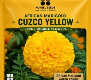 African Marigold Cuzco F1 Hybrid Yellow Flower Seeds | Professional Growers Pack | 1000 Seeds | Large Double Flowers | Nursery & Commercial Cultivation (1000 Seeds)