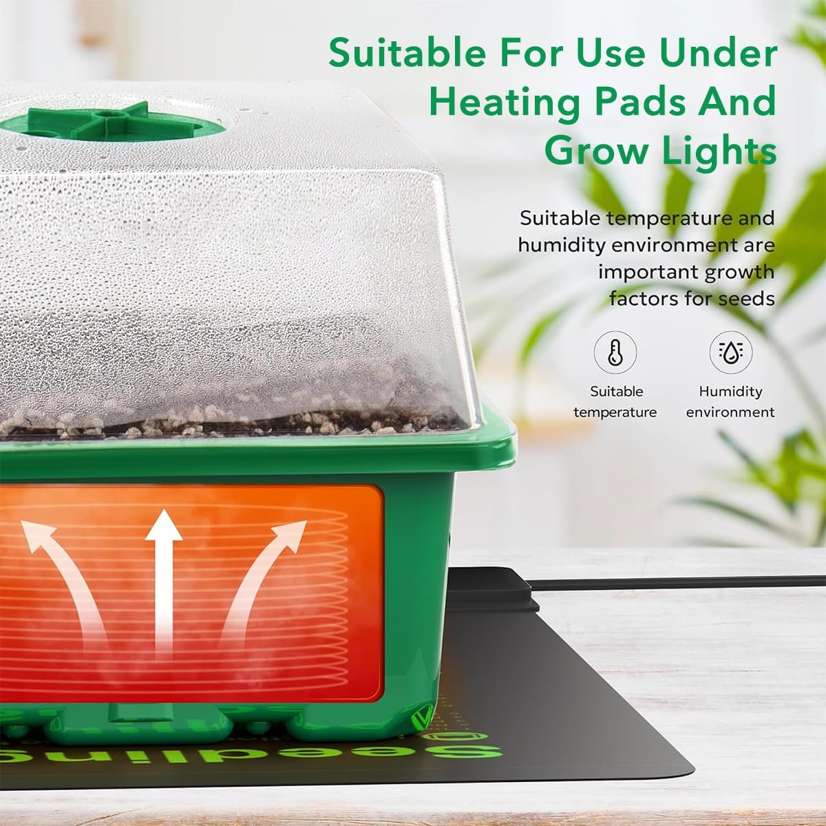 12-Cell Seedling Trays for Plants, Germination Kit, 5 Pcs - Image 2