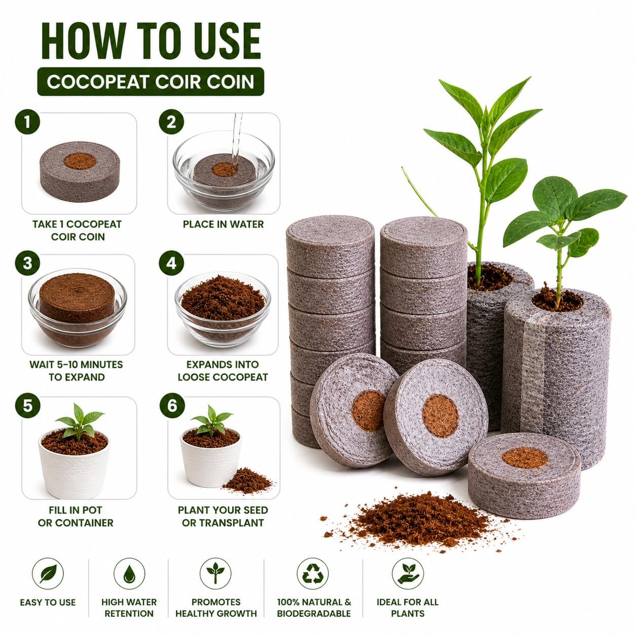 Cocopeat Seed Germination Kit | Coir Coin for Gardening Seedling | Kit for Strong Root Growth |Size 4cmx1cm | Coco Peat Disc for Plants | Netted |Round (Pack of 50) - Image 5