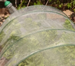 Bird Netting [Heavy Duty] Protect Plants and Fruit Trees - Extra Strong Garden Net is Easy to Use, Doesn't Tangle and Reusable - Lasting Protection (3mX6)
