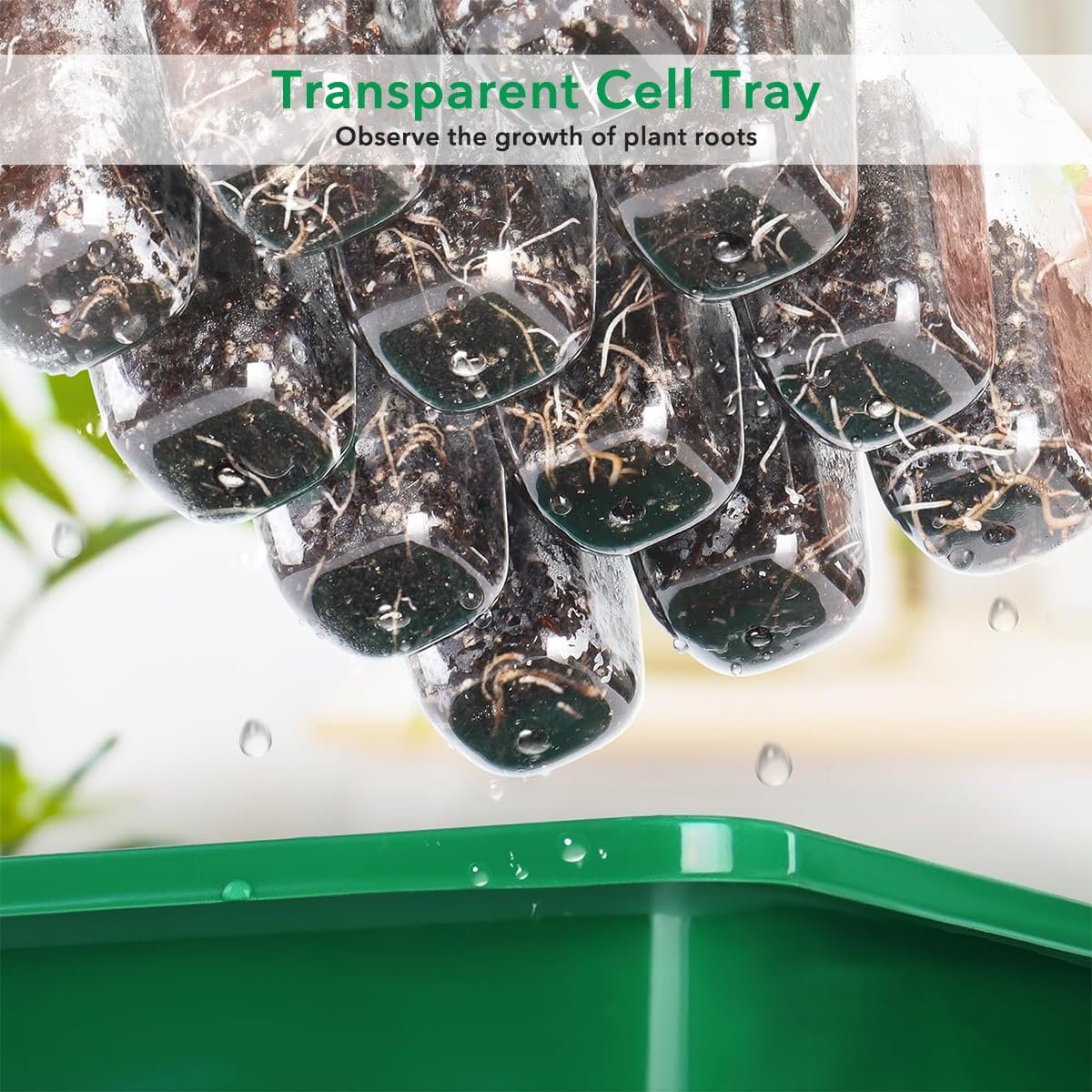 12-Cell Seedling Trays for Plants, Germination Kit, 5 Pcs - Image 5