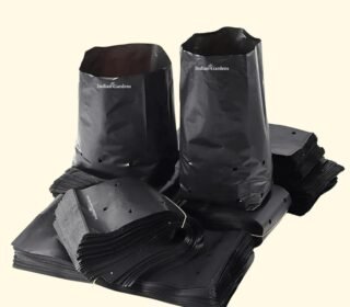 6 x 7 Inch Black Poly Grow Bags - 38 Pieces | Heavy Duty Nursery Bags for Vegetable Plants, Flowering Plants, Saplings, Seedlings & Home Gardening (200 Grams)