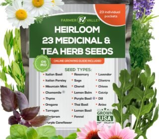 Most Popular Heirloom Non GMO Tea and Herb Seeds for Planting Indoor and Outdoor Garden