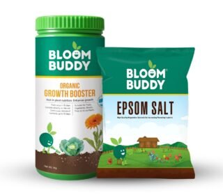 Bloombuddy Organic Growth Booster for plants home garden (Growth Booster 1kg+Epsom Salt1kg)
