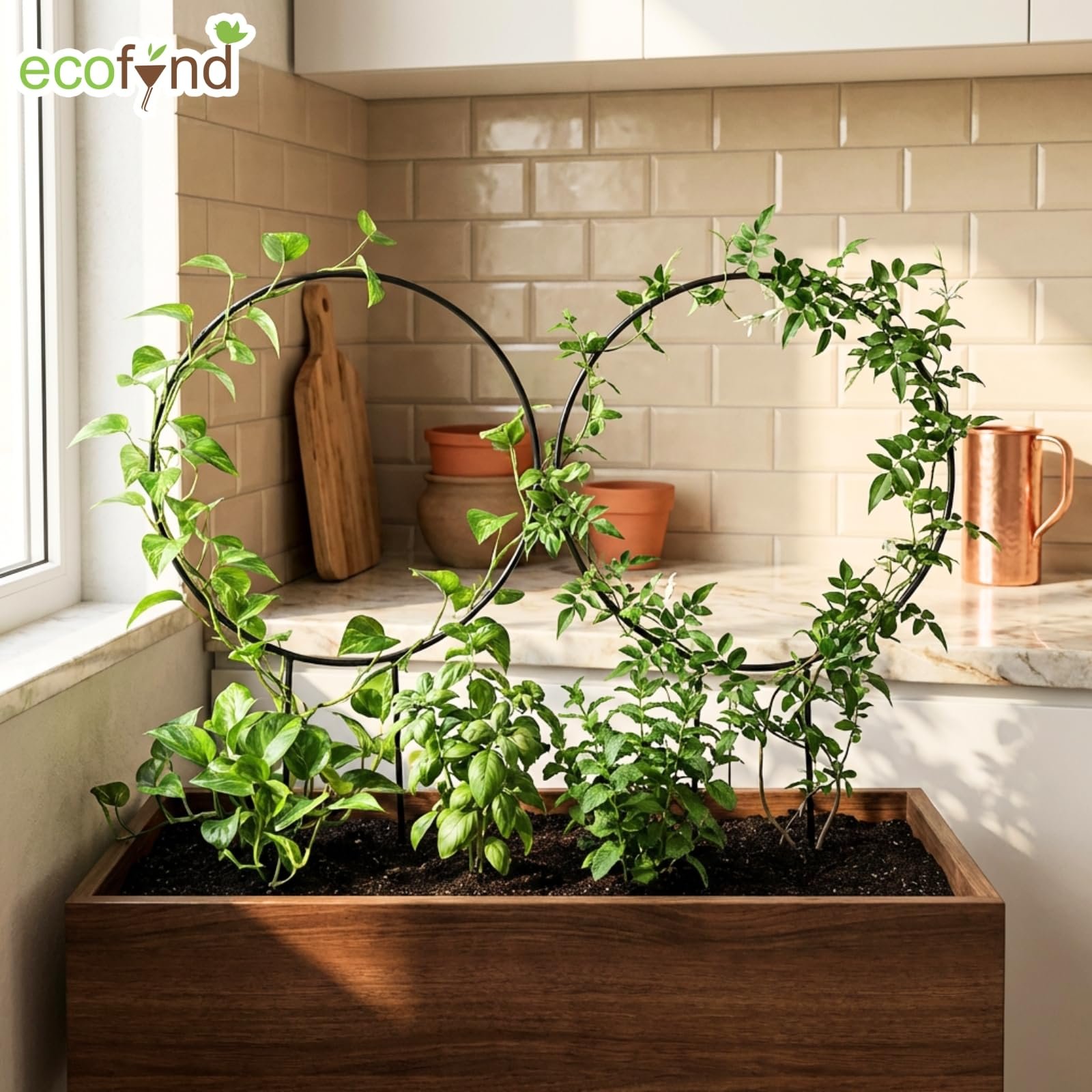 Metal Garden Trellis for Climbing Plants, Round Shape Plant Support Stake, Single Stem Flower Support Frame for Vines, Indoor Outdoor Garden Decor, Easy Install Support Stand (Pack 2, Black) - Image 7