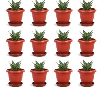 8 Inch Plant Pots with Drainage Plate (Set of 12, Red) | Heavy Duty Plastic Flower Pots for Indoor & Outdoor Plants | UV Resistant Garden Pots for Balcony, Terrace, Home & Nursery
