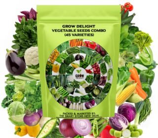 45 Variety 2000+ Vegetable Seeds Combo for Home Garden