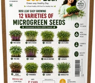 Easy Growing 12 Variety Microgreen Seeds | Growing Instruction Included | Untreated and Non GMO Seeds | 300G