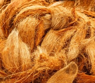 Natural & Organic Coconut Husk Fiber | Fresh Raw Coconut Husk for Orchid Potting, BBQ Fire Starter, Compost, Mulch & Garden| Nariyal Jatta-Thenga Husk (Coconut Husk, 200, gram(s))