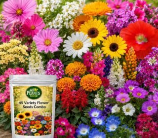 All Season Flower Seeds Combo Pack for Home Garden – 45 Varieties, 2700+ Seeds for Balcony, Terrace & Outdoor Gardening | High Germination Mixed Flower Seeds Kit for All Seasons