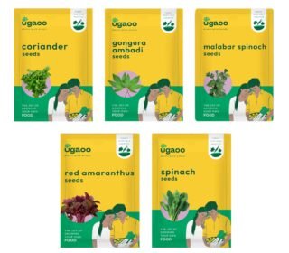 Leafy Vegetable Seeds Combo Pack for Home Garden – Spinach, Malabar Spinach, Coriander, Gongura & Red Amaranthus