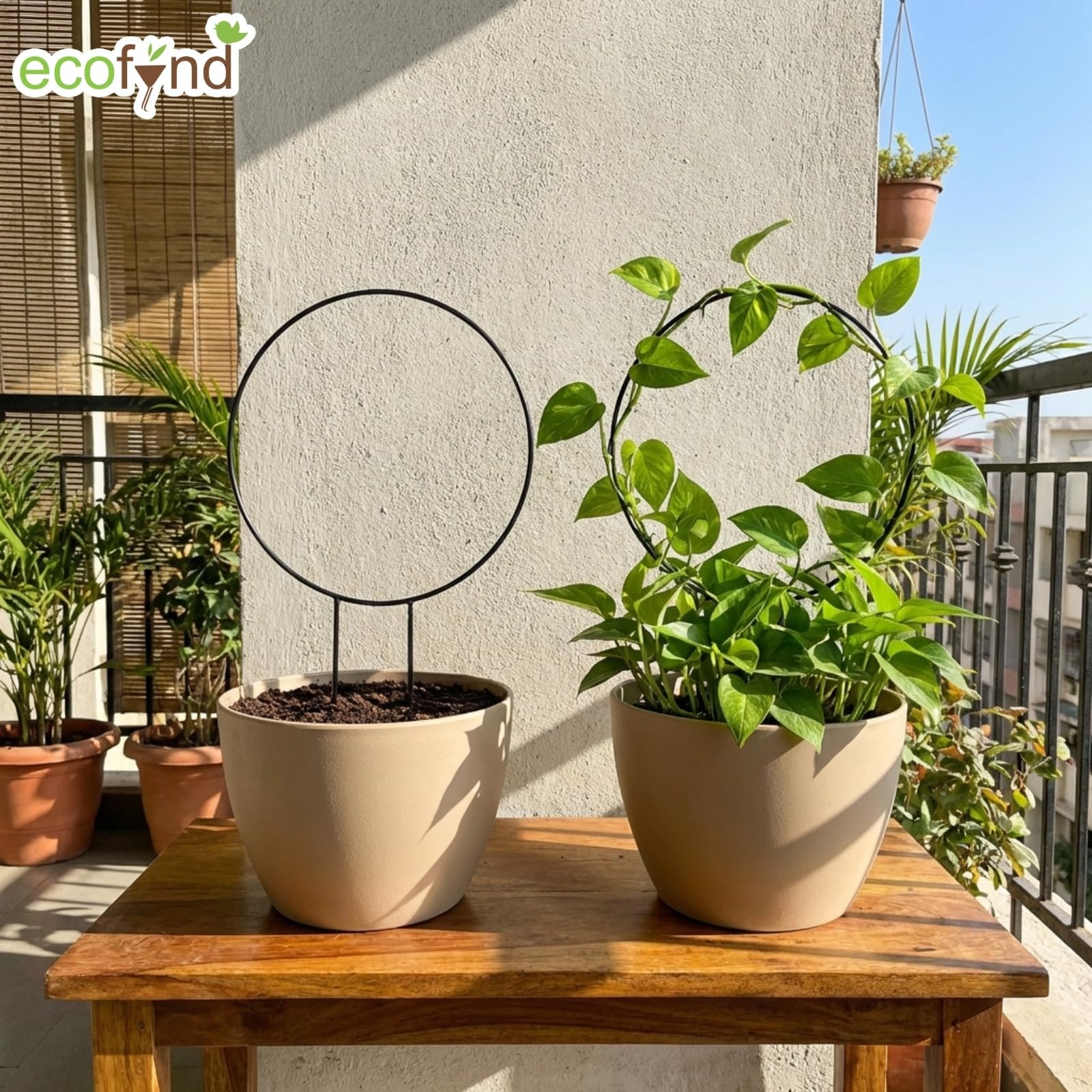 Metal Garden Trellis for Climbing Plants, Round Shape Plant Support Stake, Single Stem Flower Support Frame for Vines, Indoor Outdoor Garden Decor, Easy Install Support Stand (Pack 2, Black) - Image 6