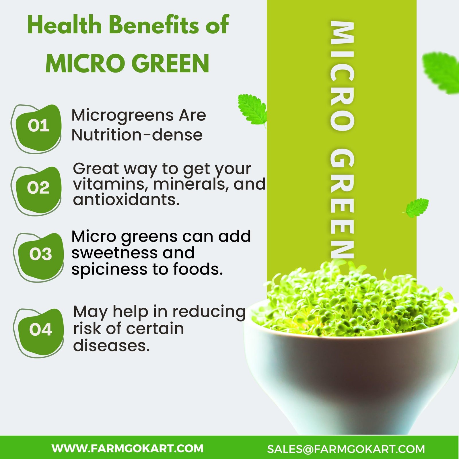 BROCCOLI MICROGREEN SEEDS | 100 Gms |- Non-GMO, Heirloom Seeds for Growing Microgreens in Soil, Coconut Coir, Aerogarden & Hydroponic - Image 2