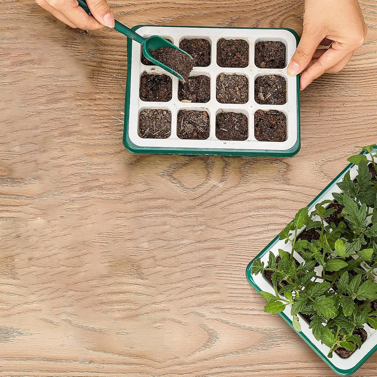 Seed Starter Tray, 12 Pots, 2 Tools, 10 Labels, Clear Lid - Image 6