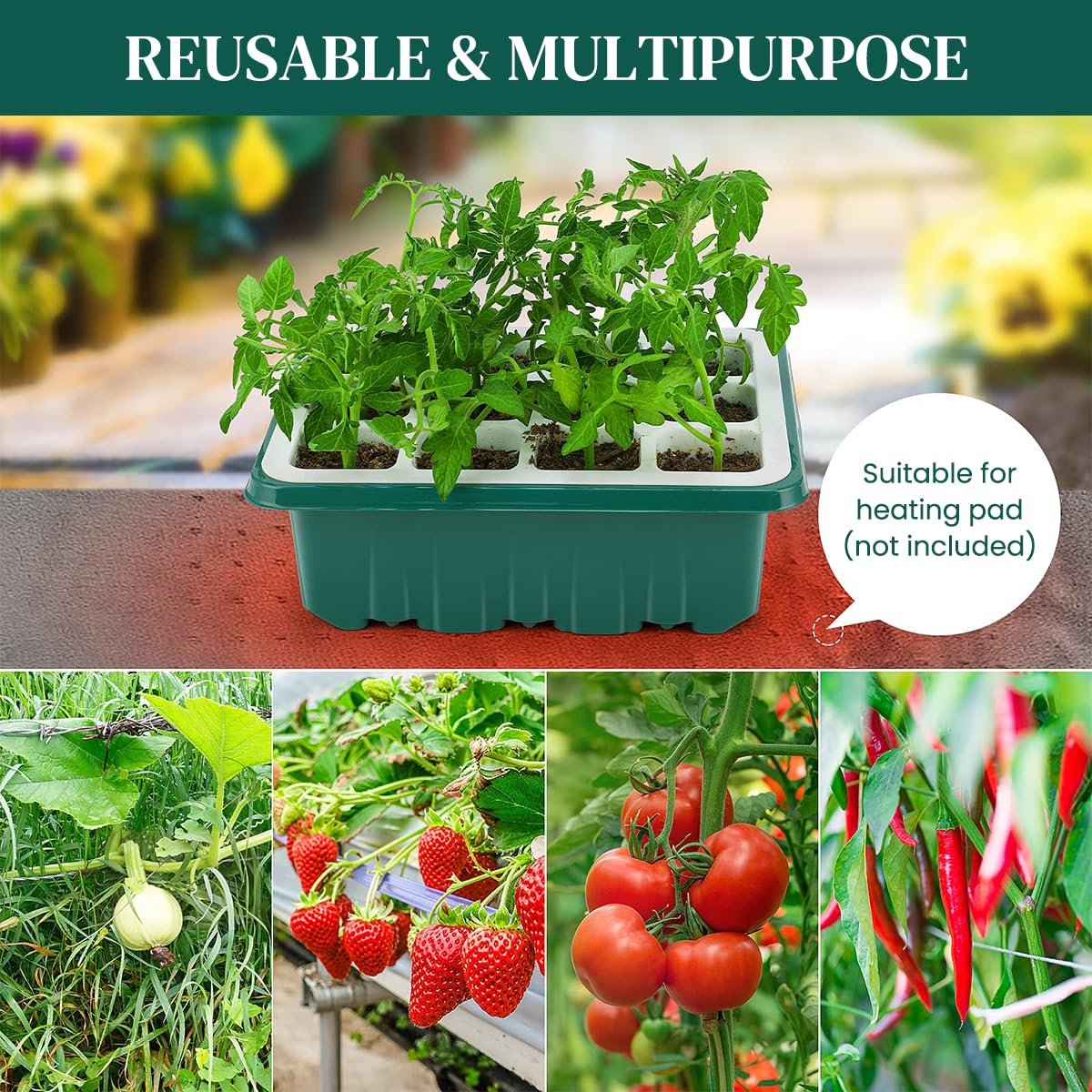 Seed Starter Tray, 12 Pots, 2 Tools, 10 Labels, Clear Lid - Image 4