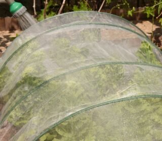 Bird Netting [Heavy Duty] Protect Plants and Fruit Trees - 10Ft x20Ft Extra Strong Garden Net is Easy to Use, Doesn't Tangle and Reusable - Lasting Protection Against Birds, Deer and Other Pests