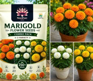 Low Maintenance Hybrid Flower Seeds Combo Pack- All Year Flower Seeds Supply (MARIGOLD 3 VARIETIES)