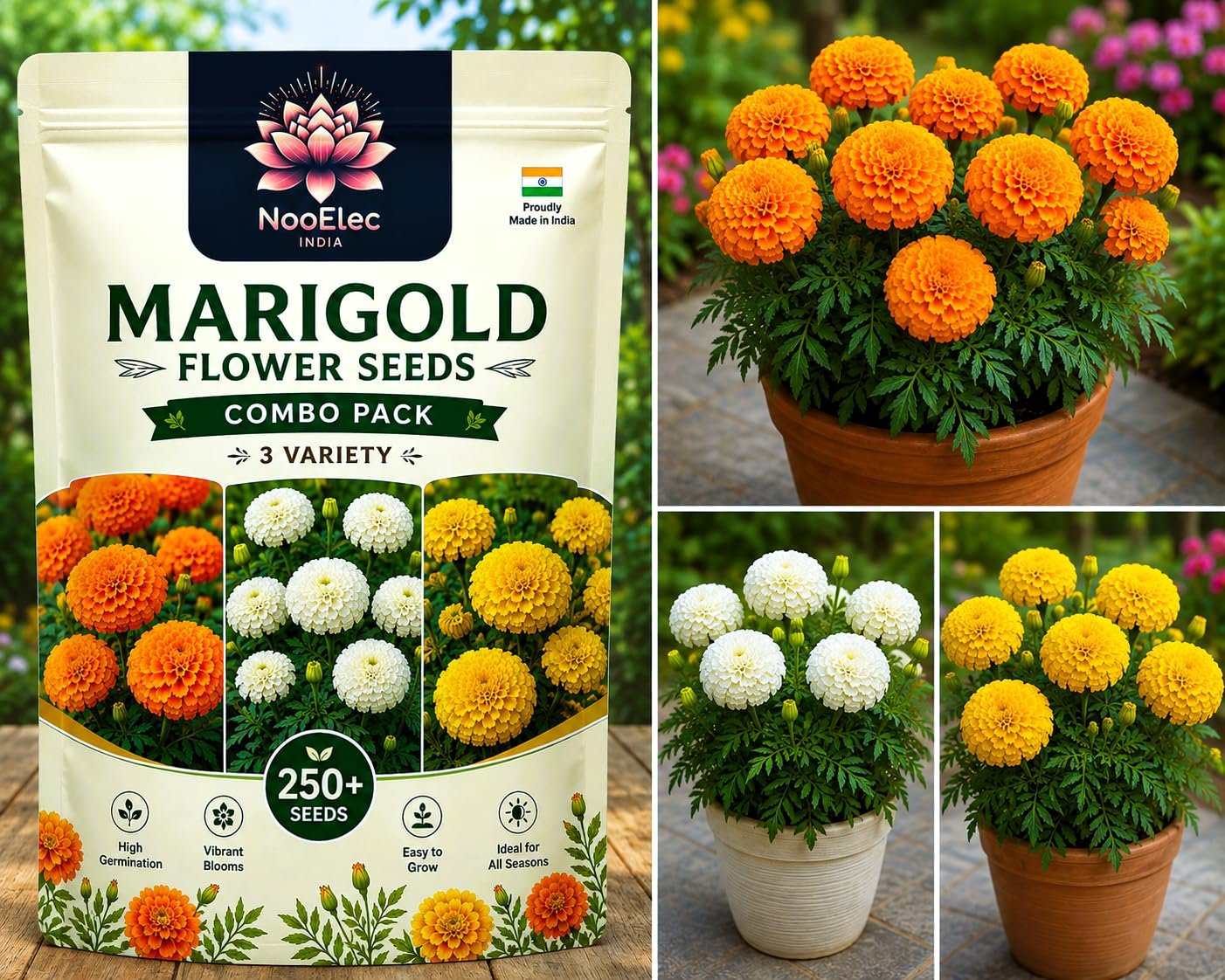 Low Maintenance Hybrid Flower Seeds Combo Pack- All Year Flower Seeds Supply (MARIGOLD 3 VARIETIES)