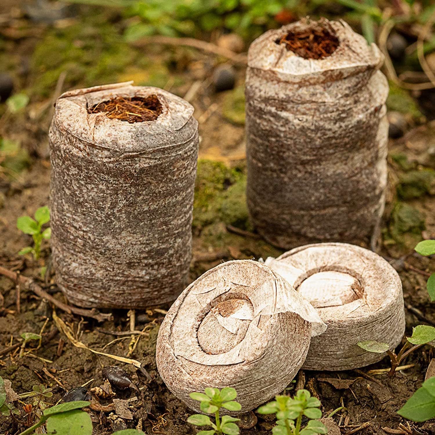 10 Pcs Peat Pellets for Seedlings, Seed Starting Pellets Compressed Nutrient Fertilizer Fiber Soil Block, Seed Starter Plugs Seedling Starter Soil for Plant Seedling. (Pack of 10 pcs) - Image 3