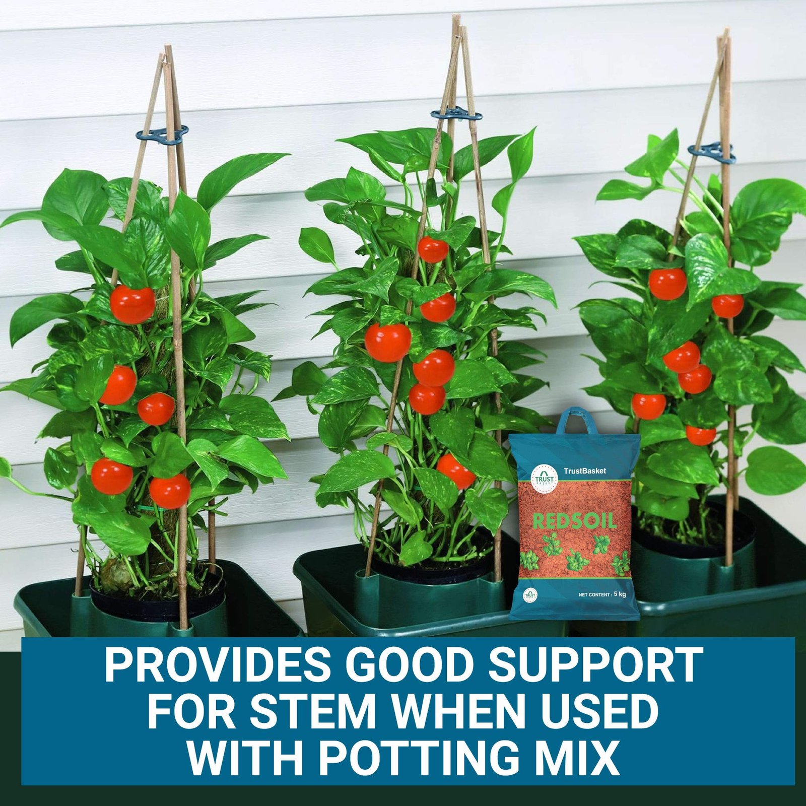 Garden Red Soil - 5 Kg | Fertilizer for Plants | Manure for Home Gardening - Image 3