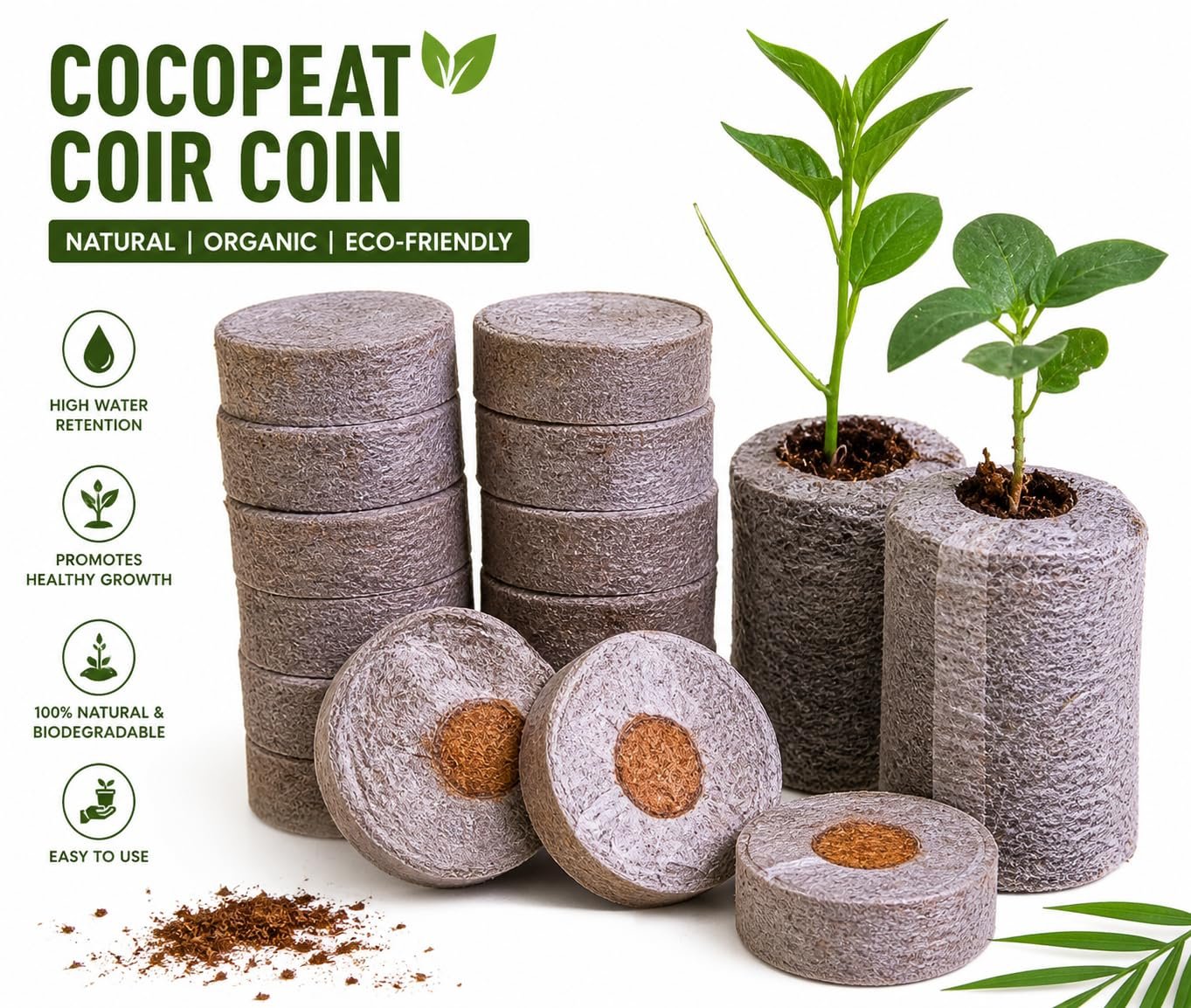Cocopeat Seed Germination Kit | Coir Coin for Gardening Seedling | Kit for Strong Root Growth |Size 4cmx1cm | Coco Peat Disc for Plants | Netted |Round (Pack of 50) - Image 7