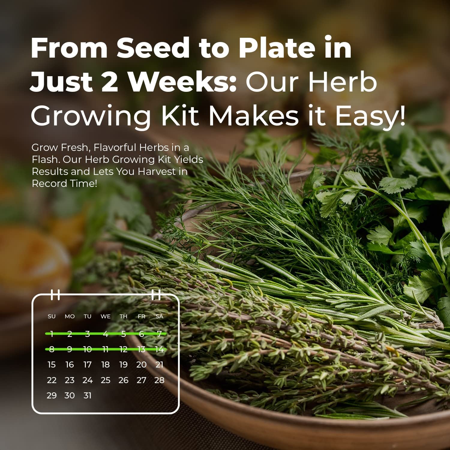 GROW YOUR OWN GARDENING KIT - Easily grow your own plants with our complete starter starter kit for beginners (8 herb kit) - Image 2