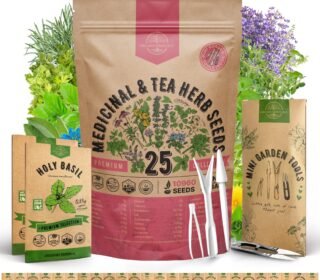Pack of 25 Medicinal Herbal Seeds & Tea for Indoor & Outdoor Planting. 5900+ Non-GMO Garden Herb Seeds: Anise, Borage, Coriander, Chamomile, Dandelion, Rosemary, Peppermint Seeds and More