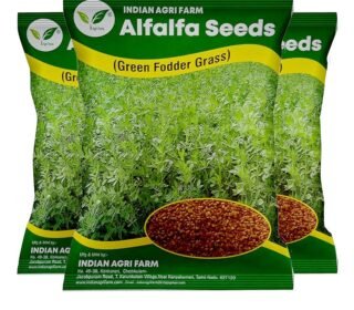 Alfalfa/Lucerne/Kuthirai Masal Seeds - 5 kg - Multicut - for Fodder Cultivation