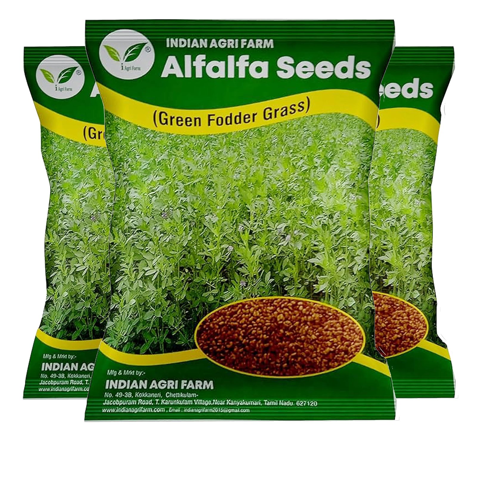 Alfalfa/Lucerne/Kuthirai Masal Seeds - 5 kg - Multicut - for Fodder Cultivation